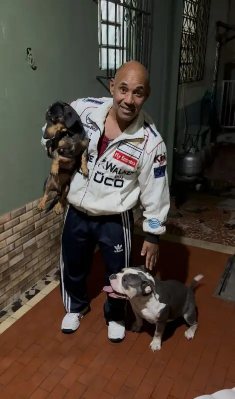 Amor e Comportamento canino